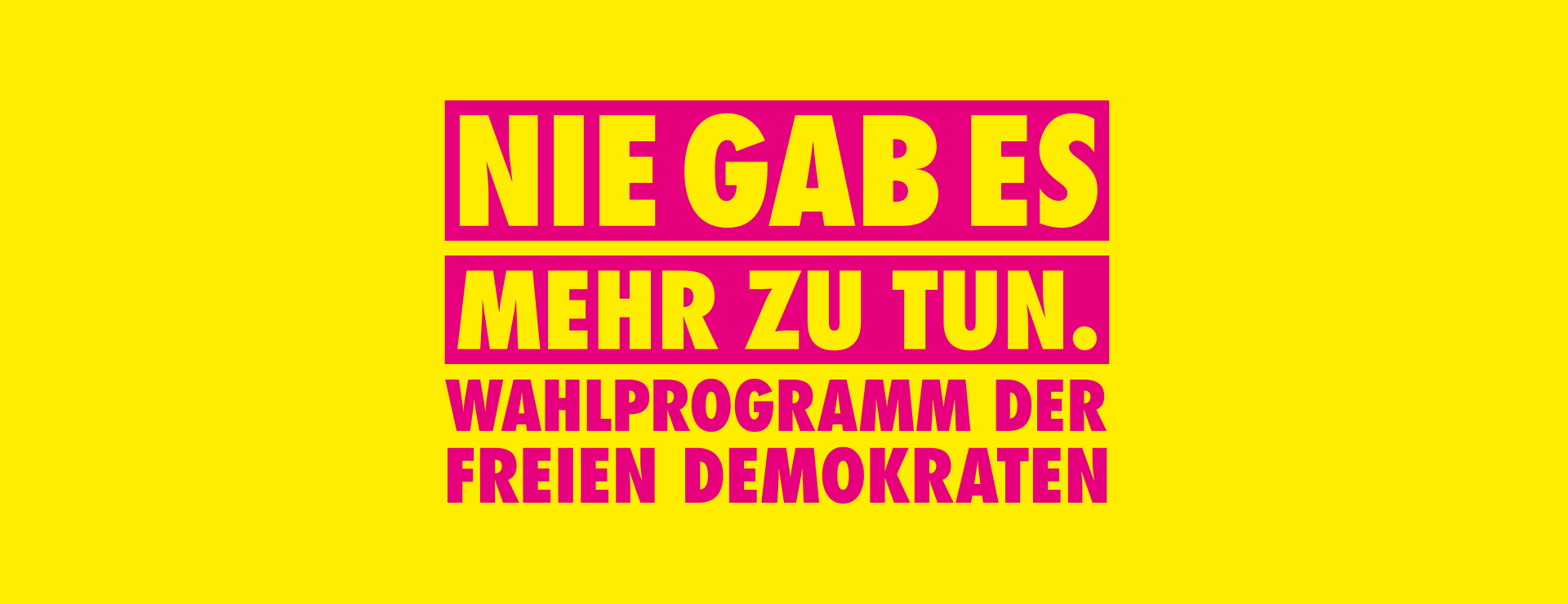 FDP Bundesprogramm