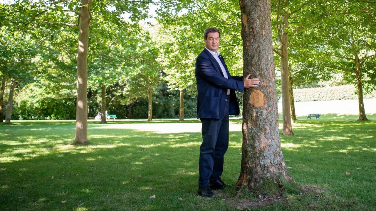 Söder, albern