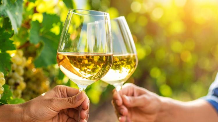 Mathias Zeuner Liberalismus und Wein