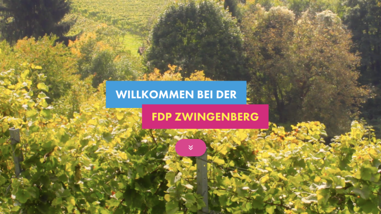 Mathias Zeuner in Zwingenberg
