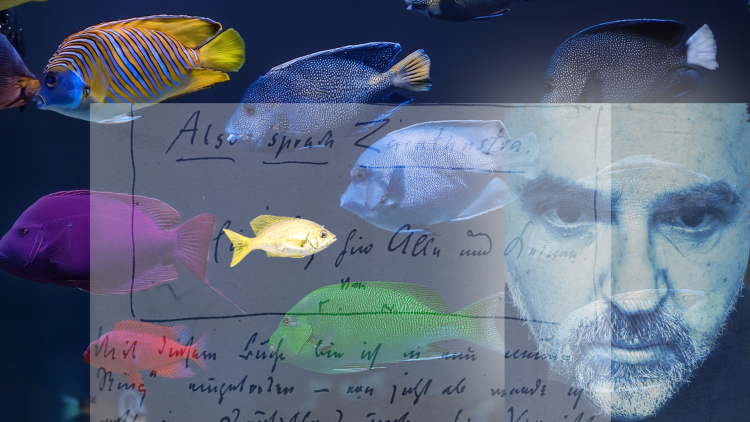 Mathias Zeuner Zarathustra