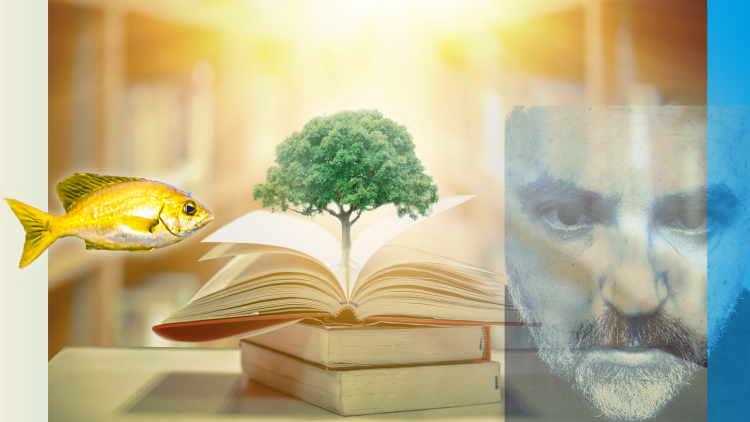 Mathias Zeuner - Fällt Geld vom Himmel