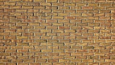 Mathias Zeuner FDP Bildung