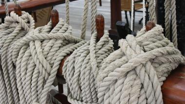 Mathias Zeuner Cannabis