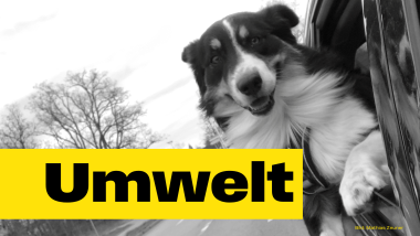 Umwelt Mathias Zeuner