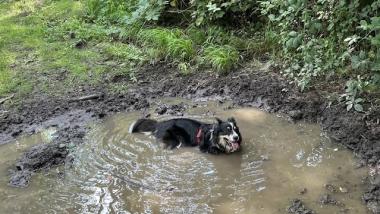 Bürgermeisterkandidat Mathias Zeuner zum Pfungstädter Wald